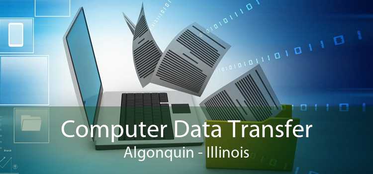 Computer Data Transfer Algonquin - Illinois