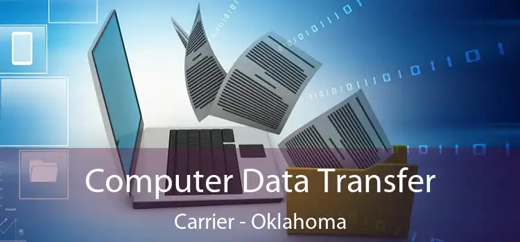 Computer Data Transfer Carrier - Oklahoma