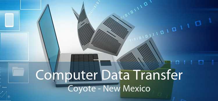 Computer Data Transfer Coyote - New Mexico