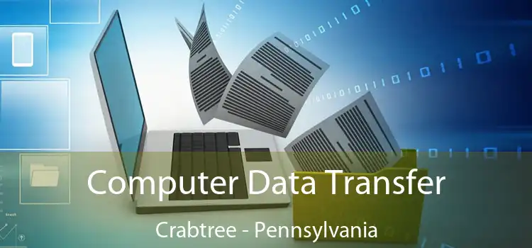 Computer Data Transfer Crabtree - Pennsylvania