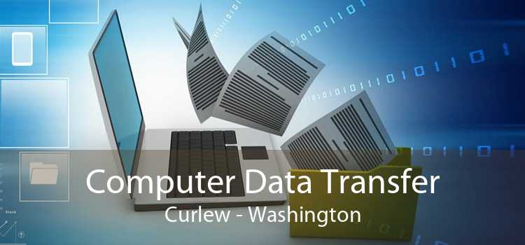 Computer Data Transfer Curlew - Washington