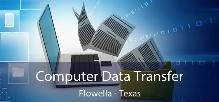 Computer Data Transfer Flowella - Texas
