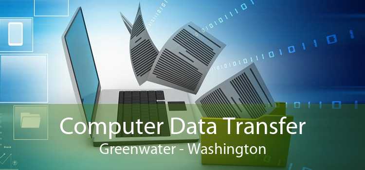 Computer Data Transfer Greenwater - Washington