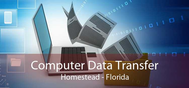 Computer Data Transfer Homestead - Florida