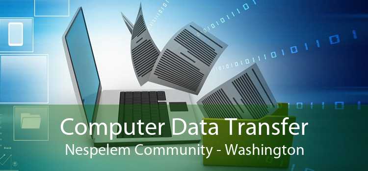 Computer Data Transfer Nespelem Community - Washington