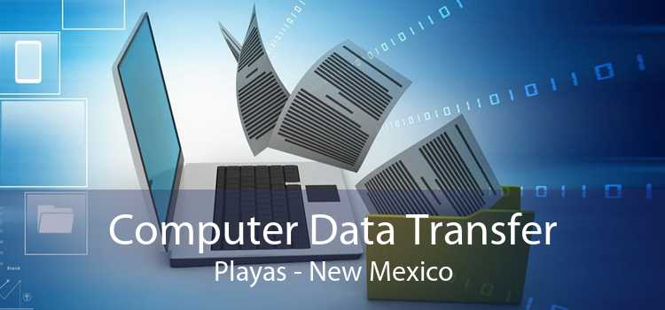 Computer Data Transfer Playas - New Mexico