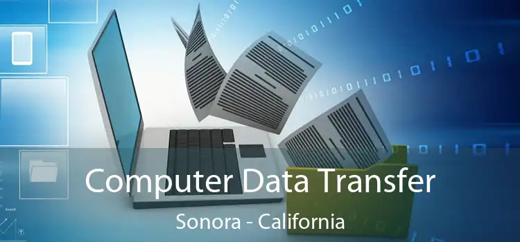 Computer Data Transfer Sonora - California