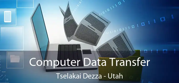 Computer Data Transfer Tselakai Dezza - Utah