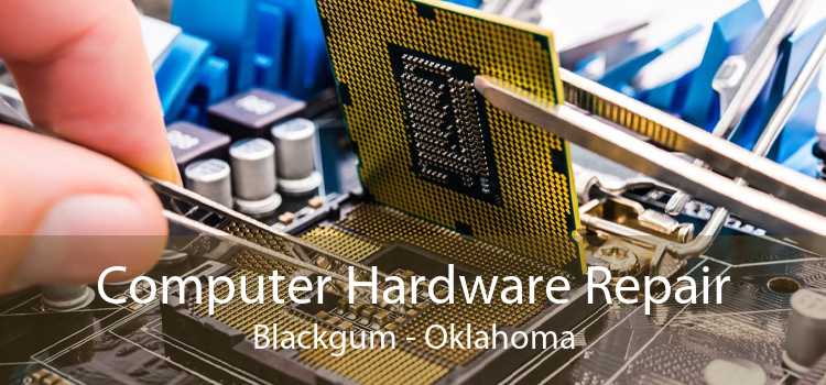 Computer Hardware Repair Blackgum - Oklahoma