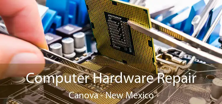 Computer Hardware Repair Canova - New Mexico