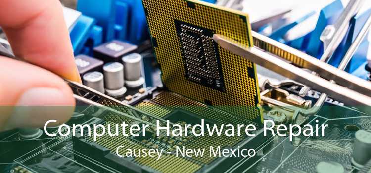 Computer Hardware Repair Causey - New Mexico