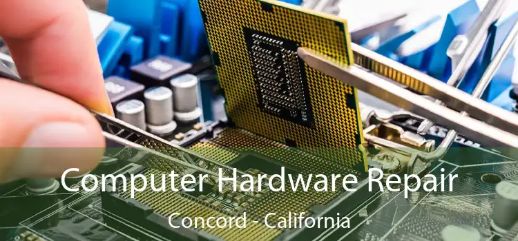 Computer Hardware Repair Concord - California