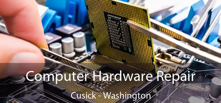 Computer Hardware Repair Cusick - Washington