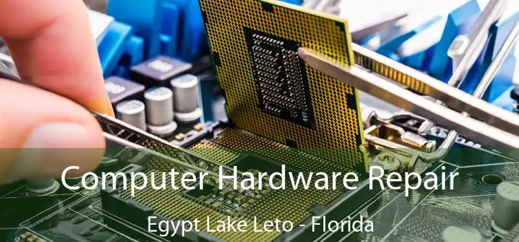 Computer Hardware Repair Egypt Lake Leto - Florida