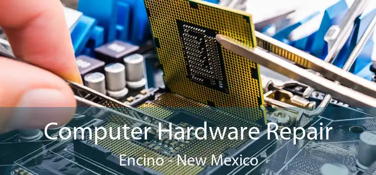 Computer Hardware Repair Encino - New Mexico