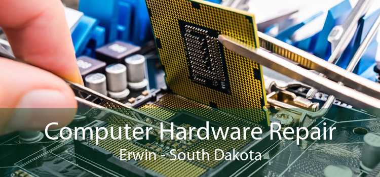 Computer Hardware Repair Erwin - South Dakota