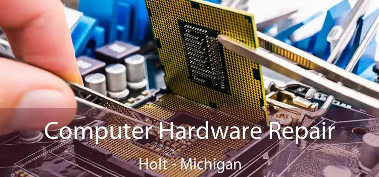 Computer Hardware Repair Holt - Michigan