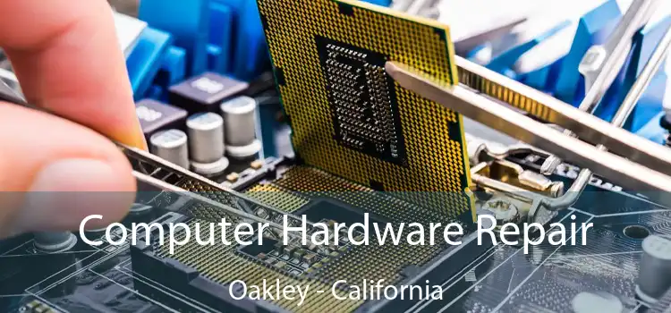 Computer Hardware Repair Oakley - California