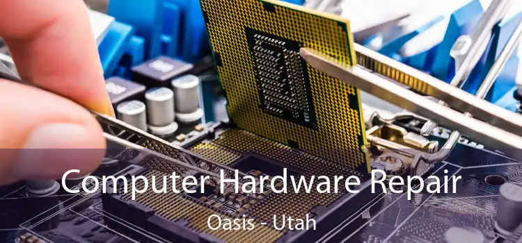 Computer Hardware Repair Oasis - Utah