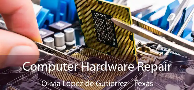 Computer Hardware Repair Olivia Lopez de Gutierrez - Texas