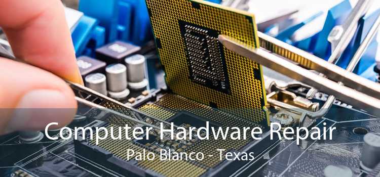 Computer Hardware Repair Palo Blanco - Texas
