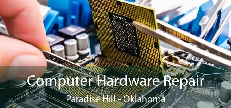 Computer Hardware Repair Paradise Hill - Oklahoma