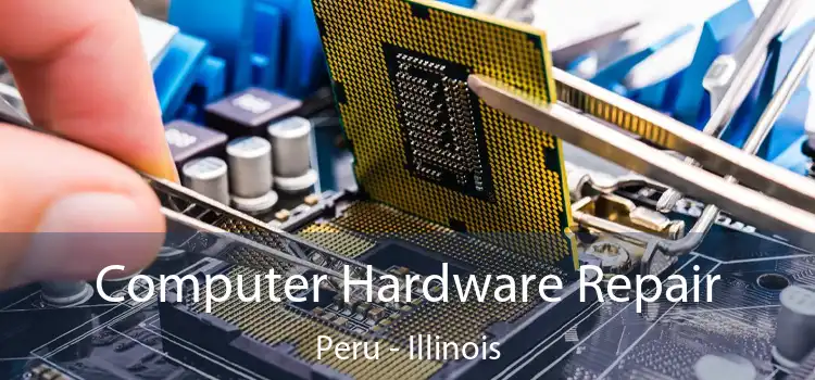 Computer Hardware Repair Peru - Illinois