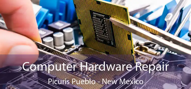 Computer Hardware Repair Picuris Pueblo - New Mexico