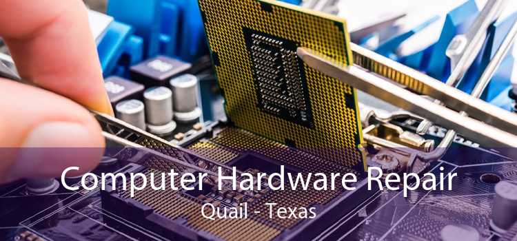 Computer Hardware Repair Quail - Texas