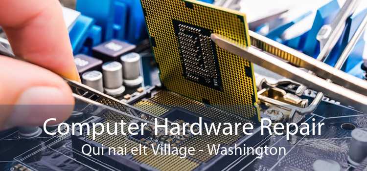 Computer Hardware Repair Qui nai elt Village - Washington
