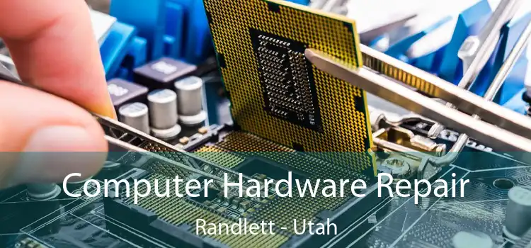 Computer Hardware Repair Randlett - Utah