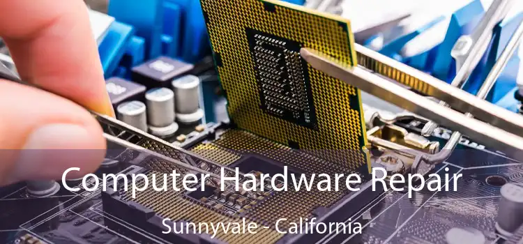 Computer Hardware Repair Sunnyvale - California