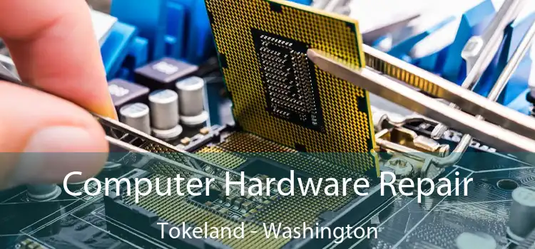 Computer Hardware Repair Tokeland - Washington
