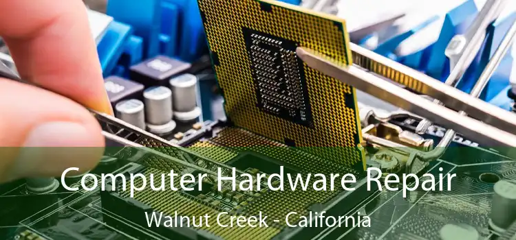 Computer Hardware Repair Walnut Creek - California