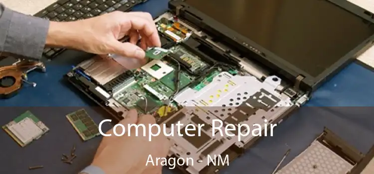  Computer Repair Aragon - NM