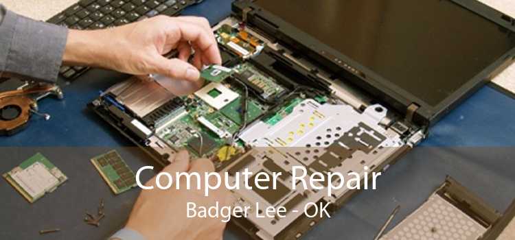 Computer Repair Badger Lee - OK