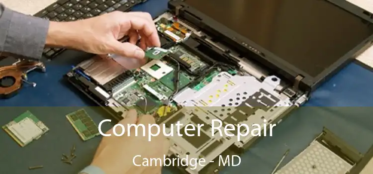  Computer Repair Cambridge - MD