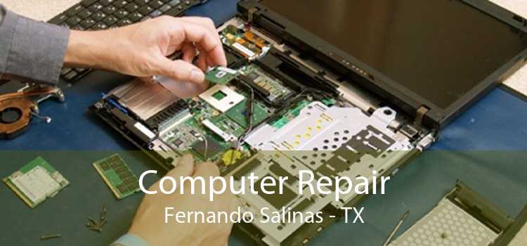 Computer Repair Fernando Salinas - TX