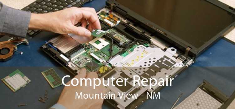 Computer Repair Mountain View - NM