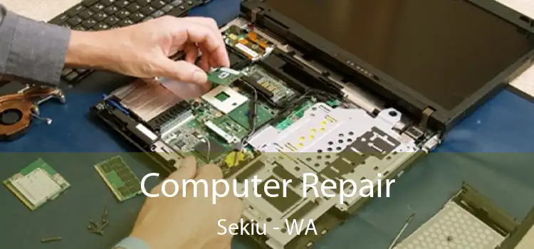 Computer Repair Sekiu - WA