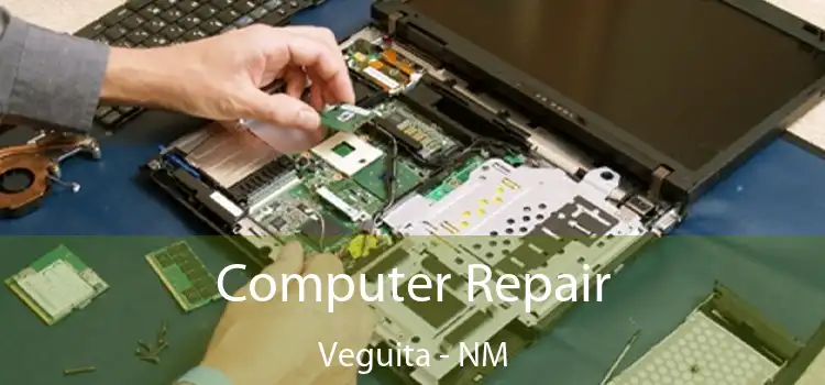  Computer Repair Veguita - NM