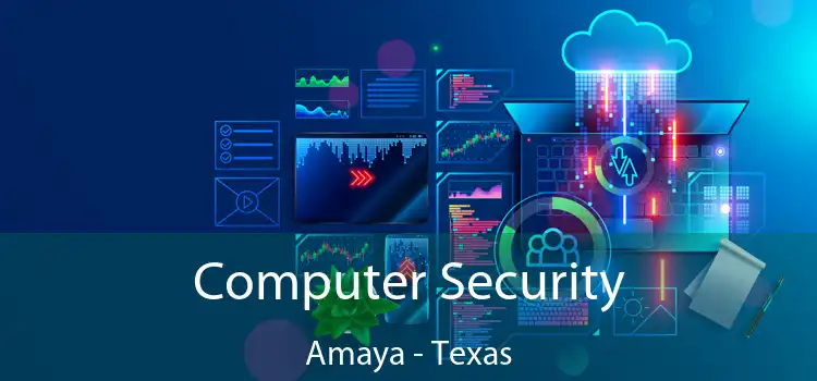 Computer Security Amaya - Texas