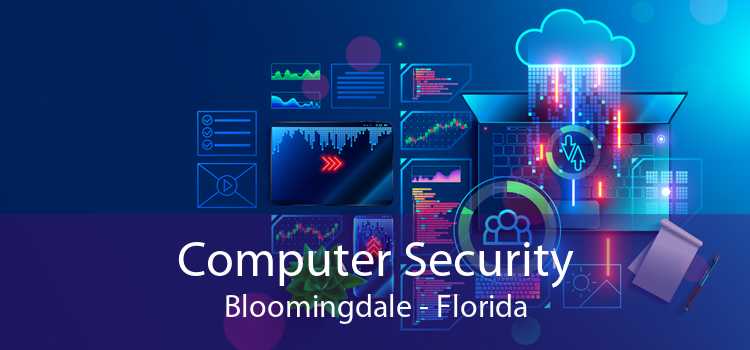 Computer Security Bloomingdale - Florida