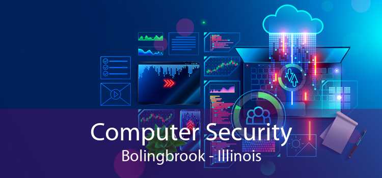 Computer Security Bolingbrook - Illinois
