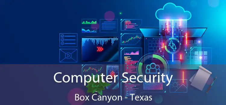 Computer Security Box Canyon - Texas