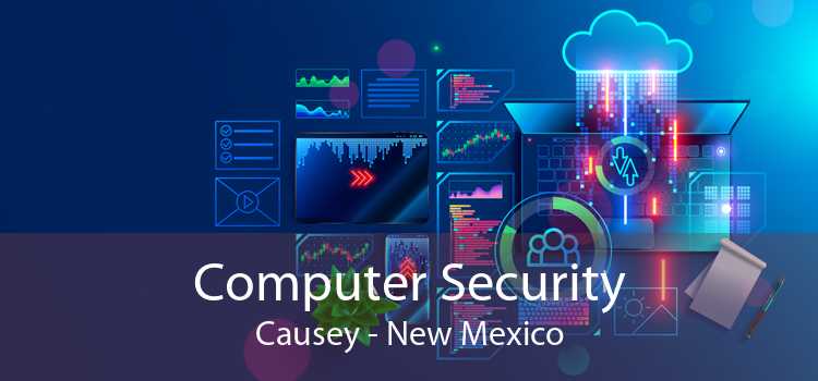 Computer Security Causey - New Mexico