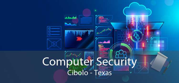 Computer Security Cibolo - Texas