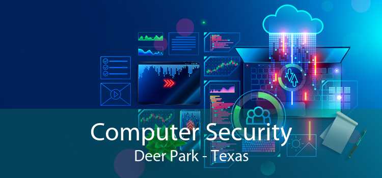 Computer Security Deer Park - Texas