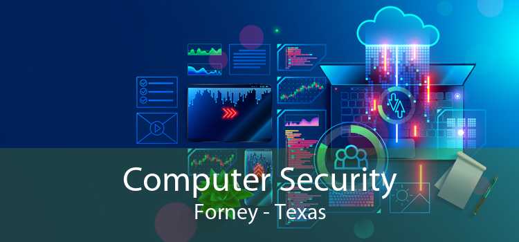 Computer Security Forney - Texas
