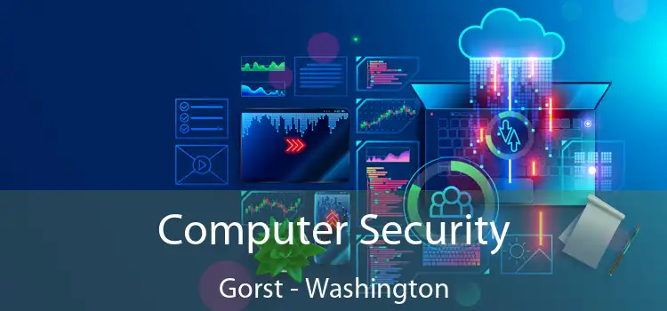 Computer Security Gorst - Washington